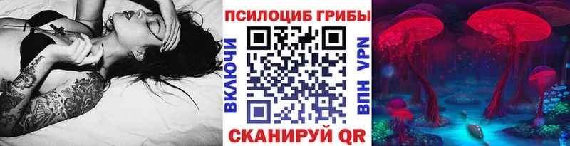 Купить закладки  Сосновый Бор  Псилоцибиновые грибы прущие грибы 