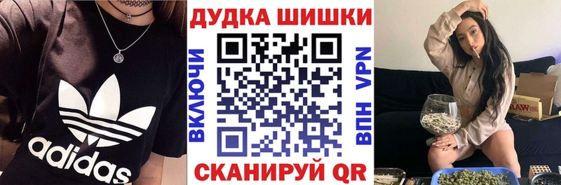 Купить закладки  Сосновый Бор  Бошки Шишки Amnesia 